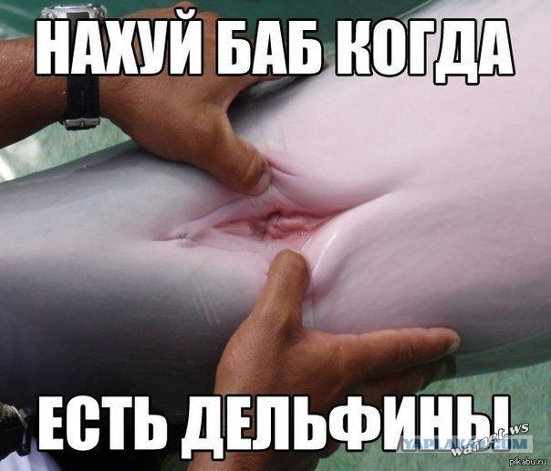 Подборка интересных и веселых картинок