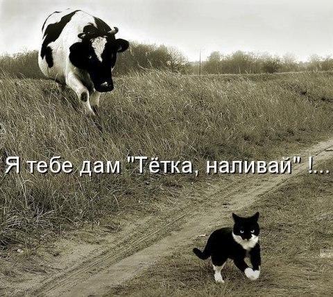 Черненький и абсурдненький юморочек
