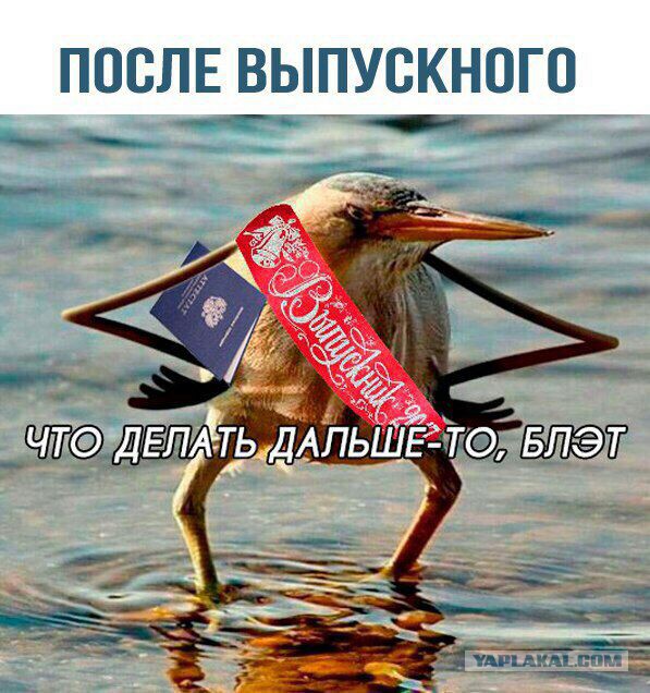 Выпускной-2017