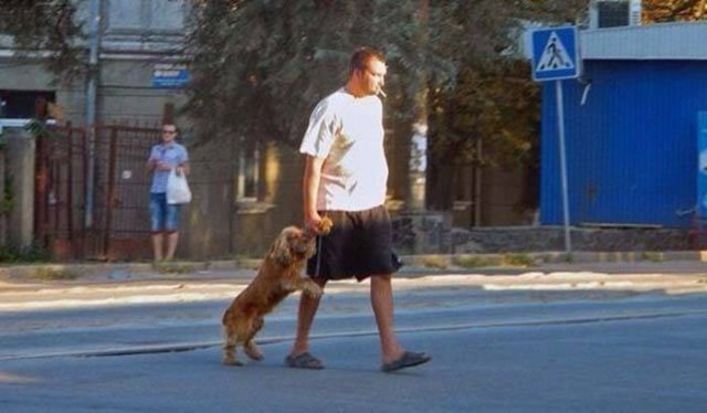 Лютый и не совсем светлый юмор