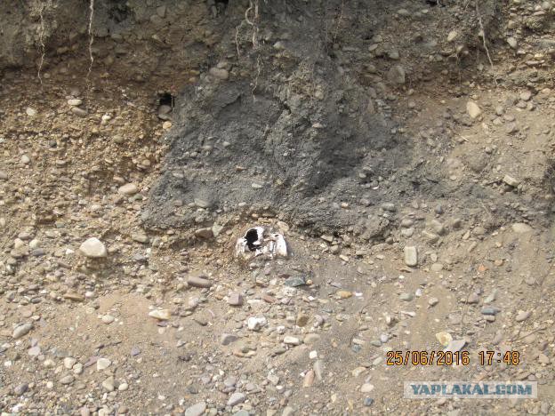 В Крыму завершаются археологические раскопки на участках трассы «Таврида»