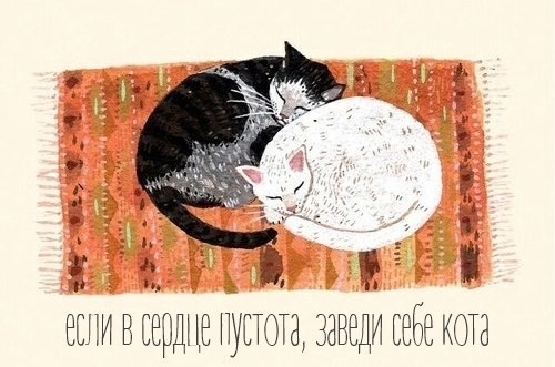 Подборка интересных и веселых картинок