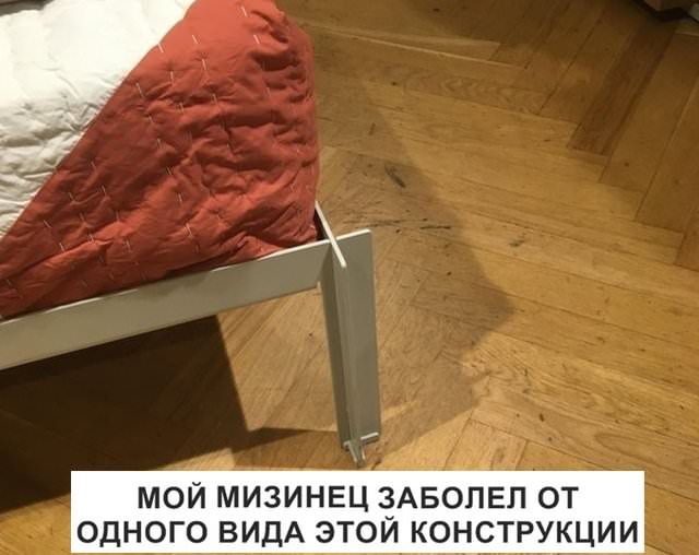 12537535.jpg