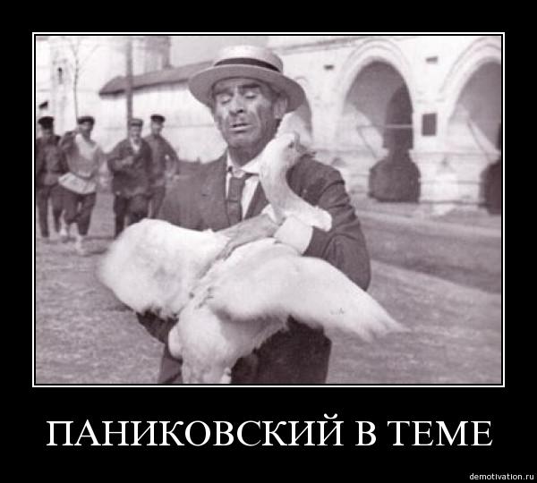 Чемпионат России по футболу (последний тур 2018/2019 и межсезонье)