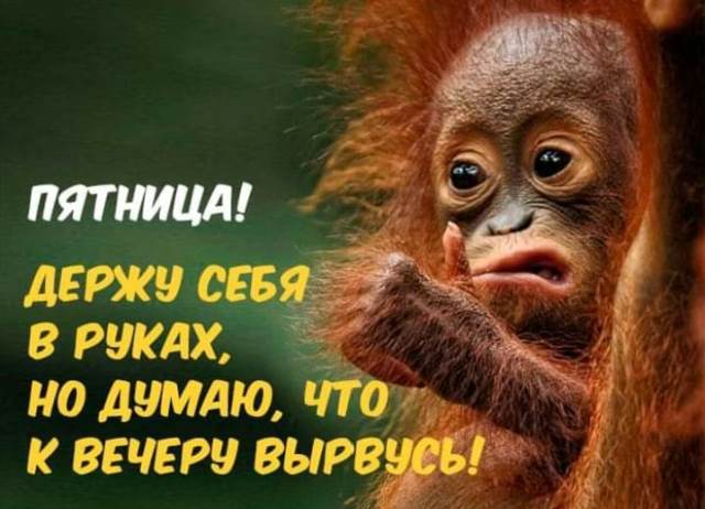 Пятница ведь! Аутентичные пикчи
