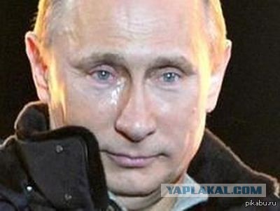Сын Сюткина?