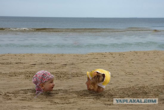 Фотожаба: Случай на пляже