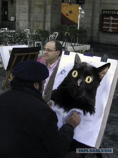 Киса хочет жабы