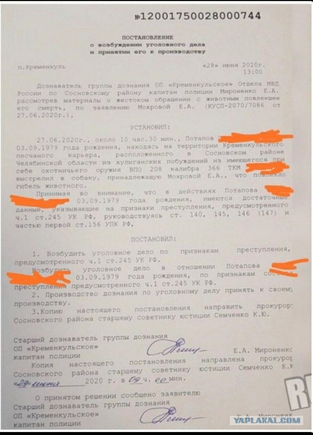Застреливший хаски челябинец признал вину и решил возместить ущерб, но хозяйка не идёт на мировую