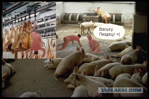 Фотожаба : Бешеные раки