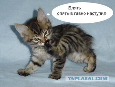 Игра: Ассоциации на ник пользователей ЯПлакалъ