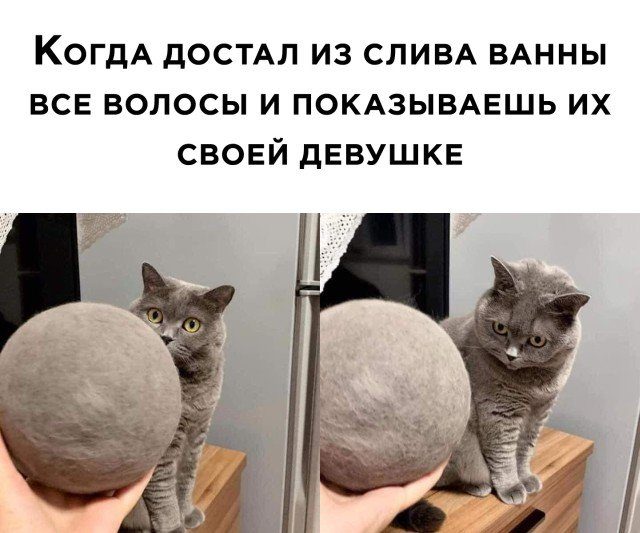 Немного картинок для настроения 05.11.20
