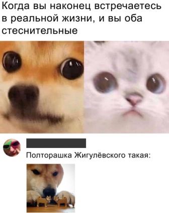 Картинки и мемы для настроения 022