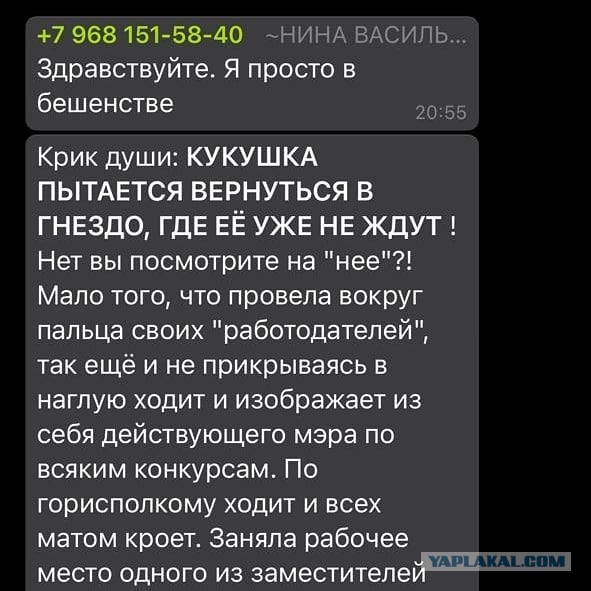 "Потоки лжи усилились после выдвижения коммуниста", - Сардана Авксентьева намерена обратиться в полицию