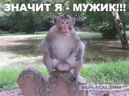 Песенка про яички, Малышева снова жжет, теперь яйца