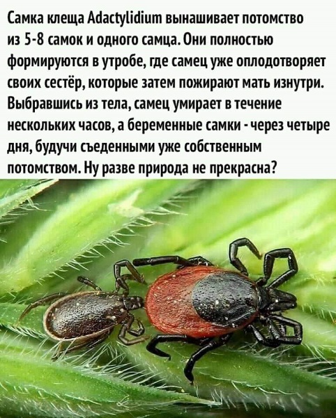 Так себе картинки 28.05.21