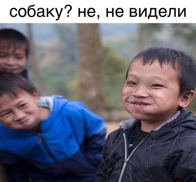Не видели собаку мою?