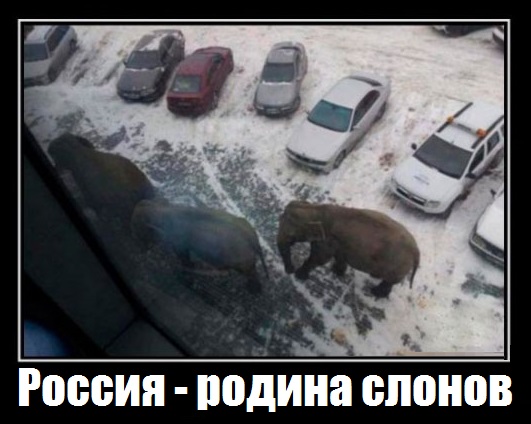 Пятница. Вечер. Картинки всякие... #4