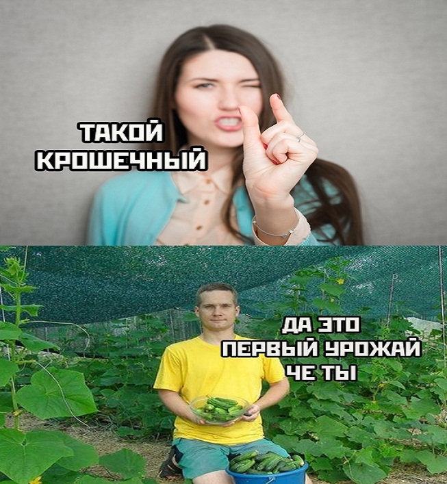 Мемы Популярные 2024