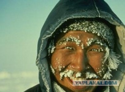 Замерзсшие прически