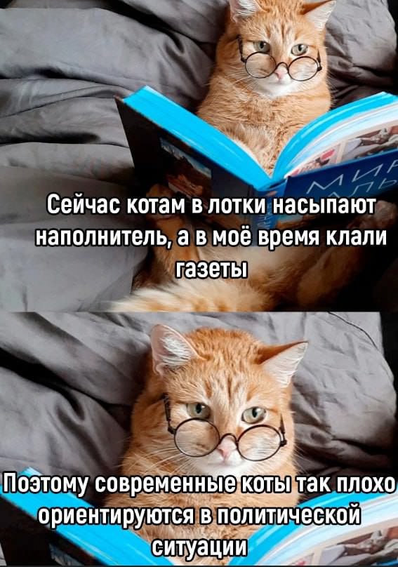 Картинки и мемы, всяко разно - 171
