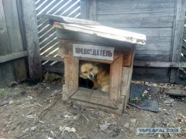 "Смерть председателя"