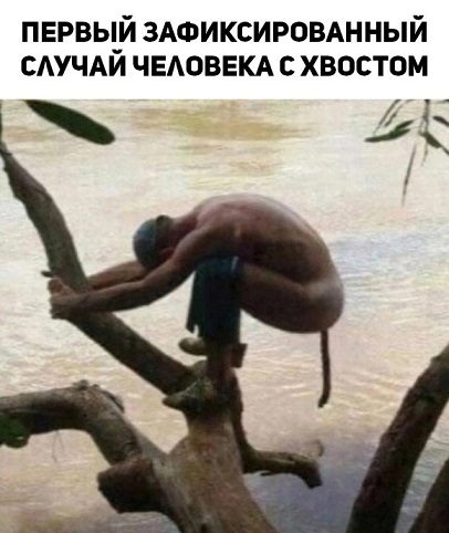 Деградильня