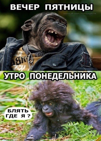 Удивительная способность