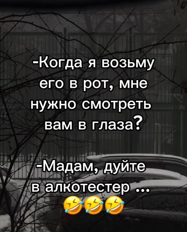 Так себе картинки 11.02.25