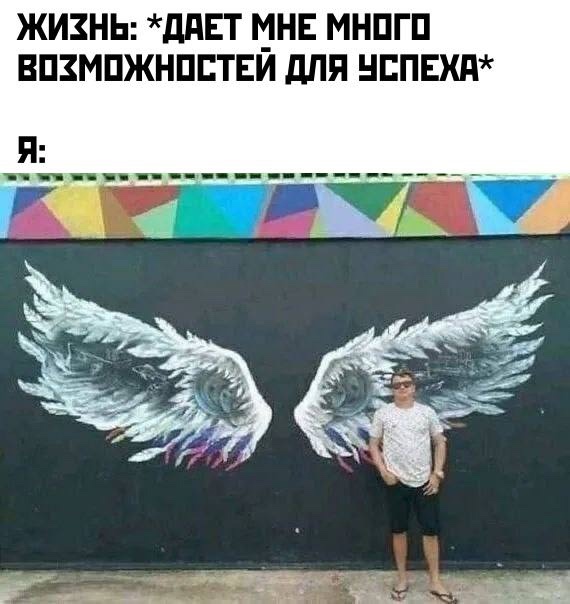 Весёлый полтишок 16.02.25