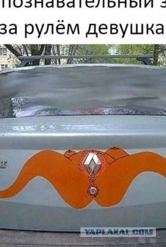 В Госдуме потребовали приравнять логотип Renault к фашистской символике