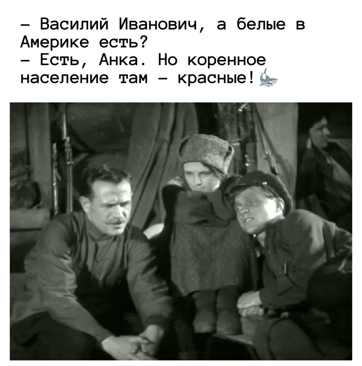 20445535.jpg
