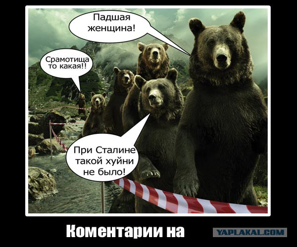Поддержка- это не проституция