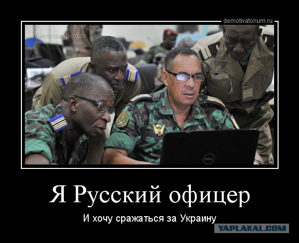 Хунта вконец обезумела