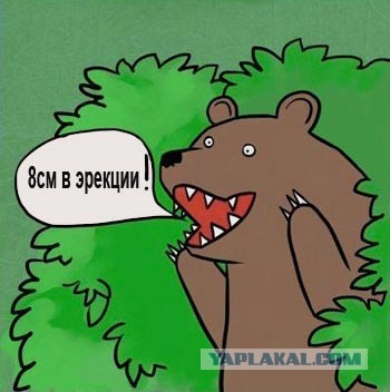 Накачался? Молодец