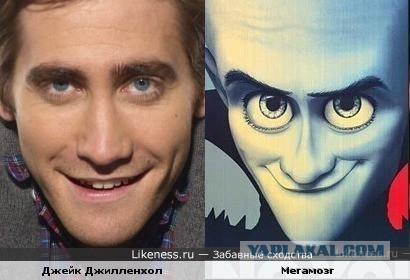 Двойники знаменитостей