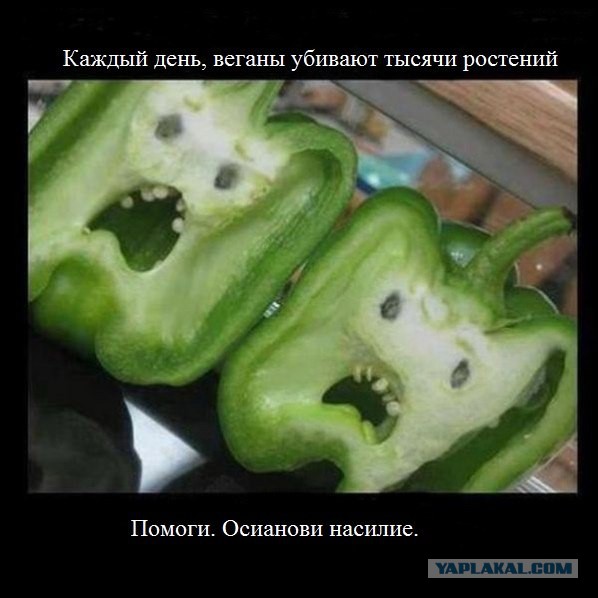 А обязательно всем говорить, что ты веган?