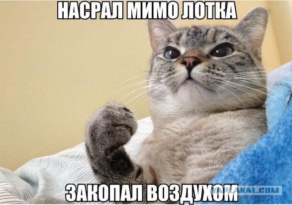 Подборка смешных и забавных фото