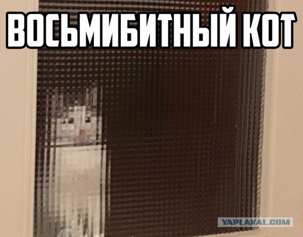 Восьмибитный кот