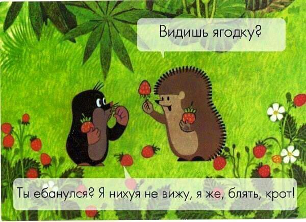 Картинки из вацапа