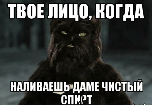 Мой кот, мои правила!