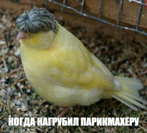 Подборка  картинок