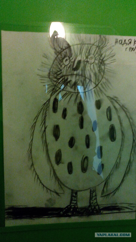 Просто 30 картинок из тырнета