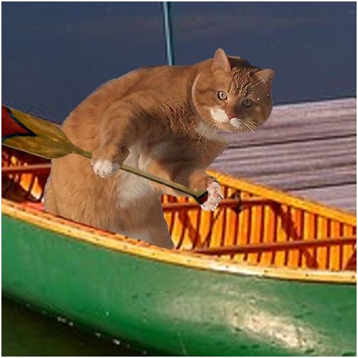 Фотожаба: Кошак