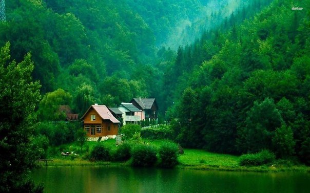 Картинки для отдыха глаз