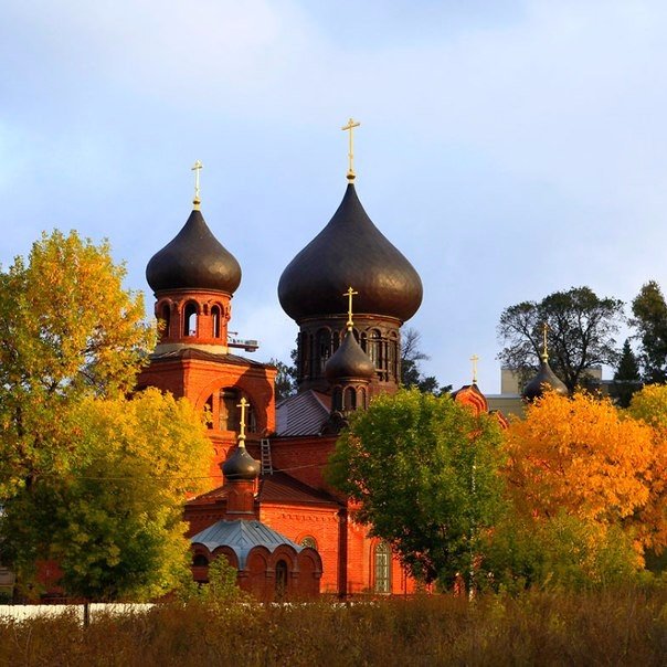 Порция картинок