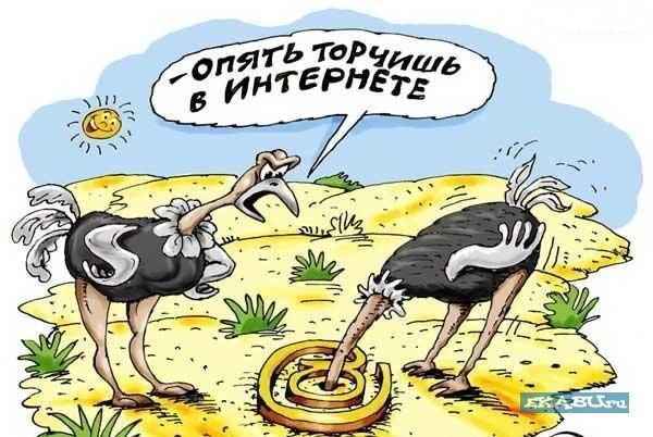 Интересные факты о сети, которая опутала нас всех