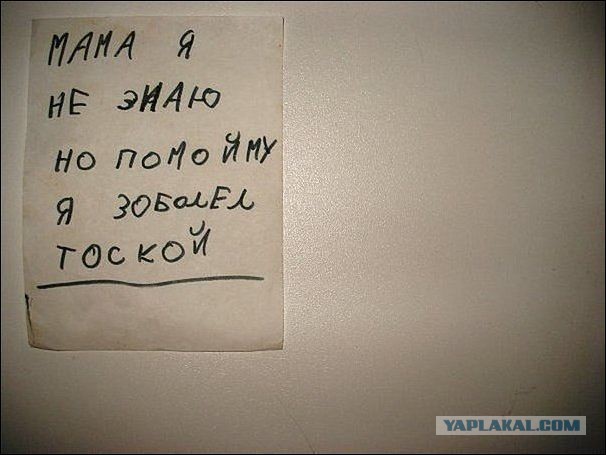 Уровень грамотности просто зашкаливает