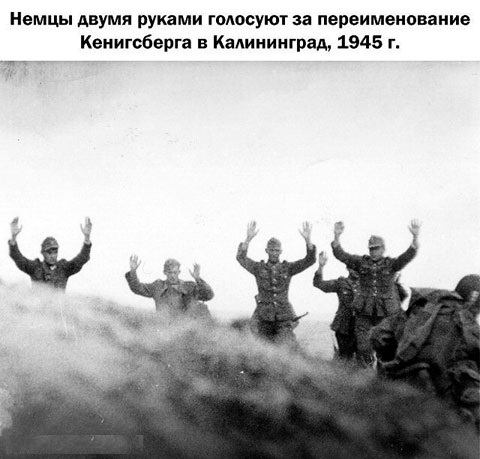 Просто юмор 12