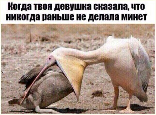 Картинки с надписями для настроения